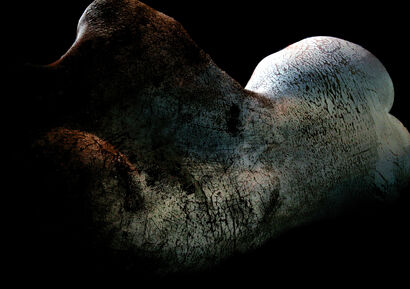 Surface Truth I - a Photographic Art Artowrk by Filip Sendal